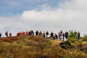 Publiek van Maltstock